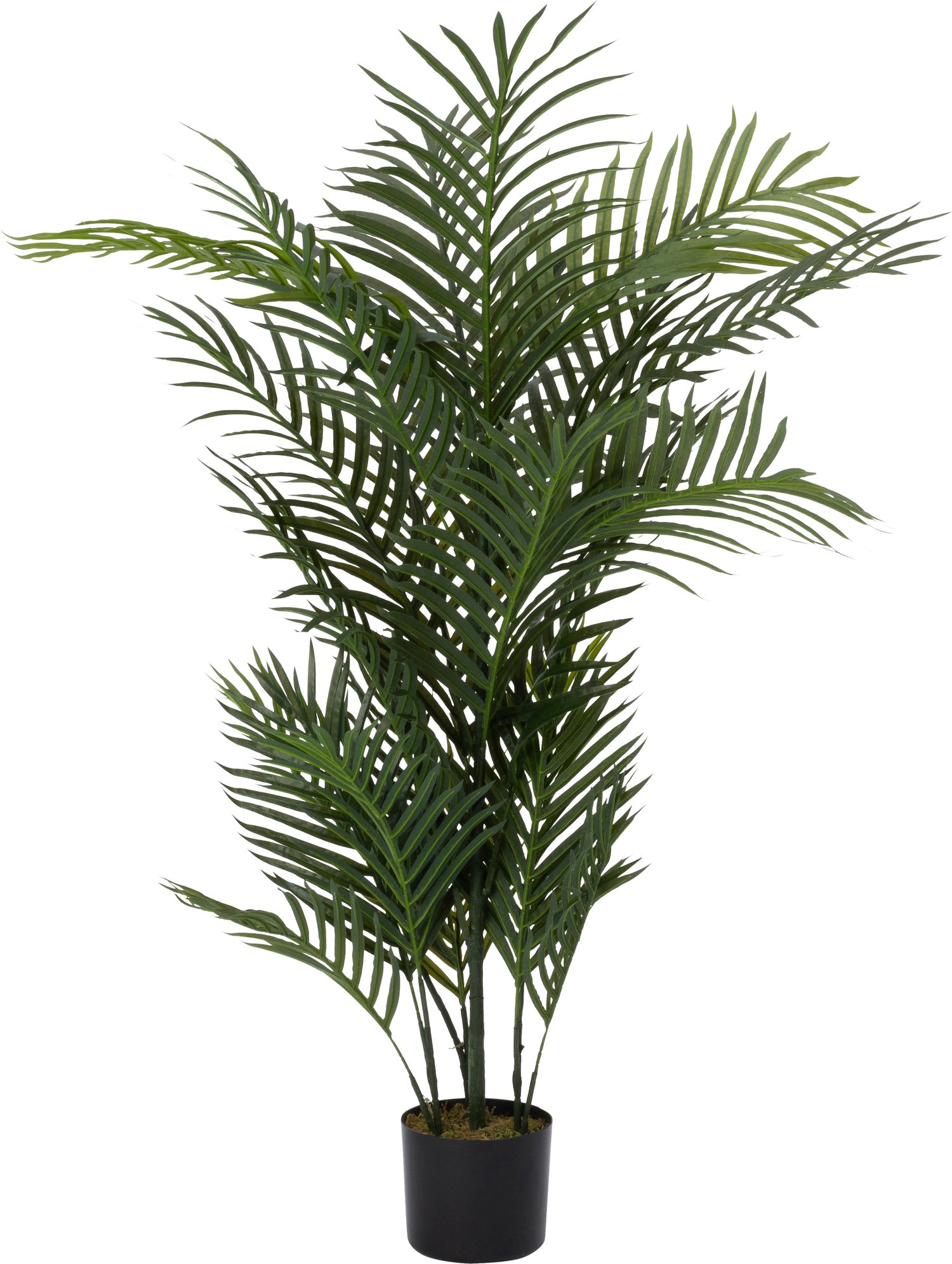 Intratuin kunstplant Areca 50 x 50 x 122 cm