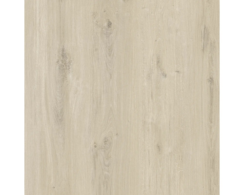 Vinylvloer SPC Pitt landhuisplank klikverbinding 1220 x 180 x 6,0 mm