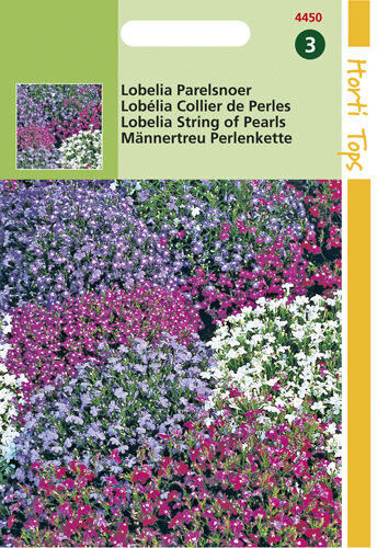 Hortitops Lobelia Parelsnoer - Bloemzaden