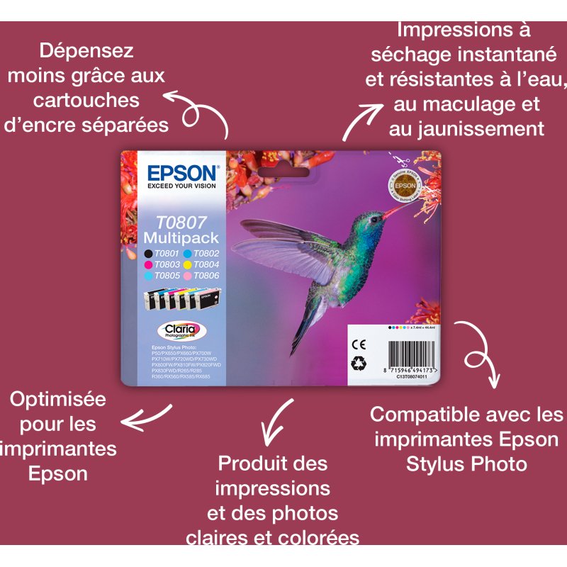 Epson Hummingbird Cartouche 