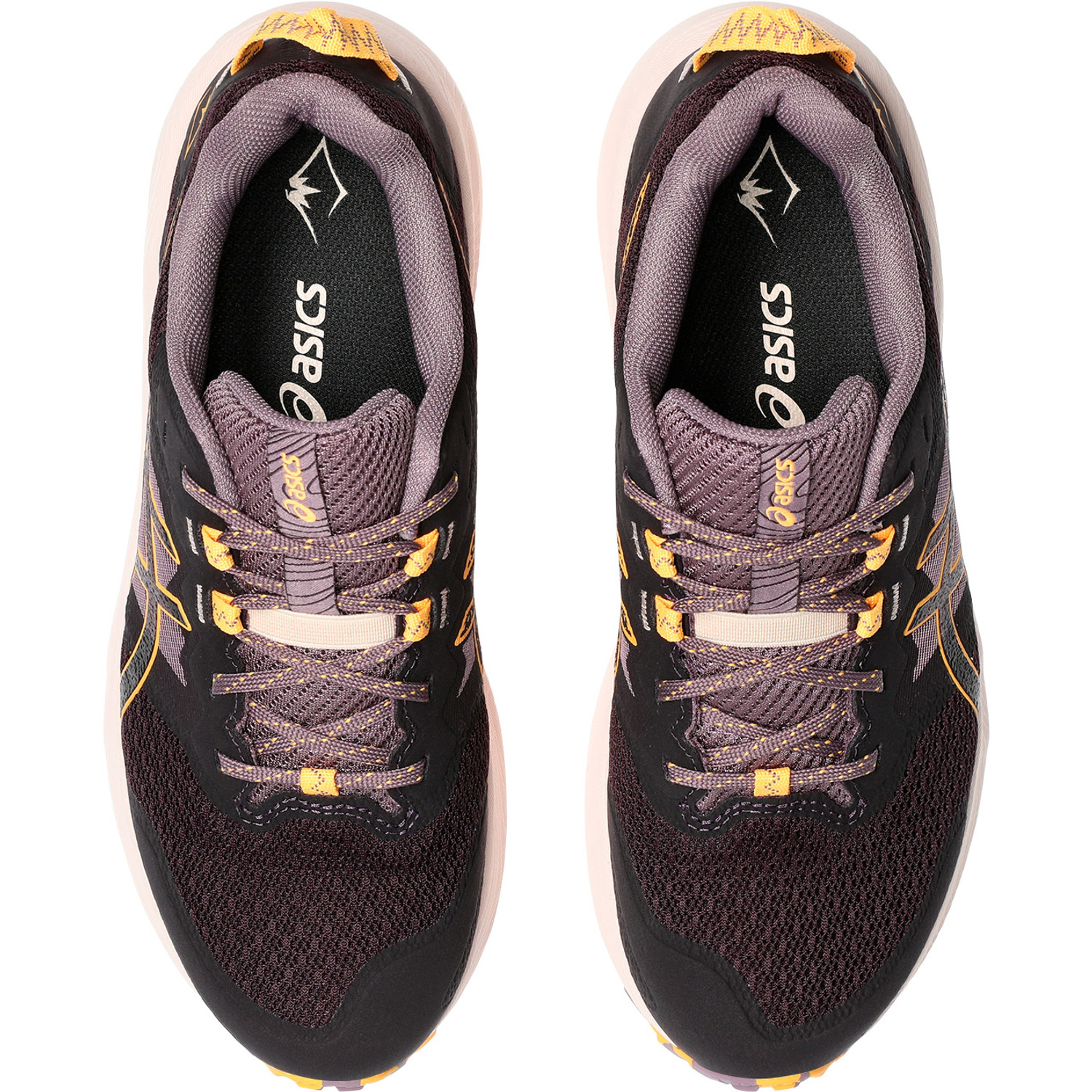 ASICS Trabuco Terra 2 Dames