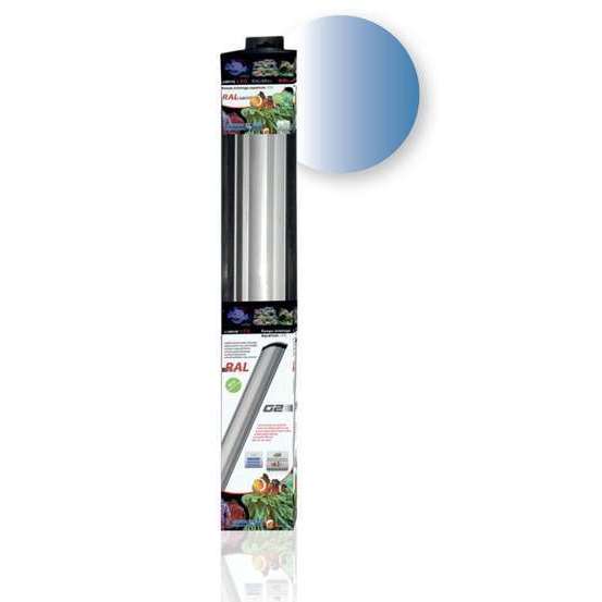 Rampe led 40 cm 6W SBM Blanc/ Bleu