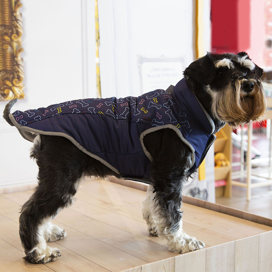 Casaco azul Outech com estampa de ossos para cães