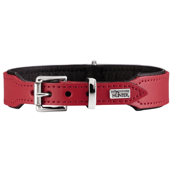Hunter - Basic - Collier pour chien