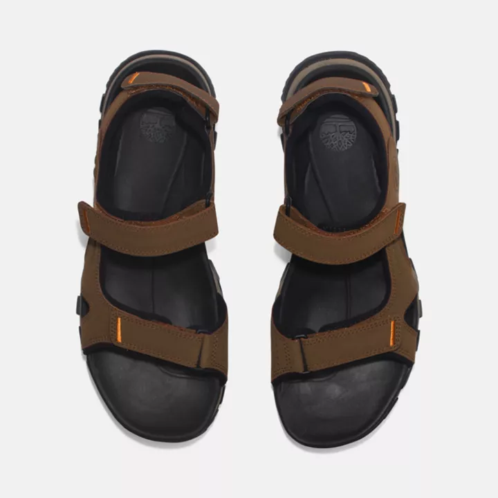 Sandale à double bride Lincoln Peak pour homme en marron