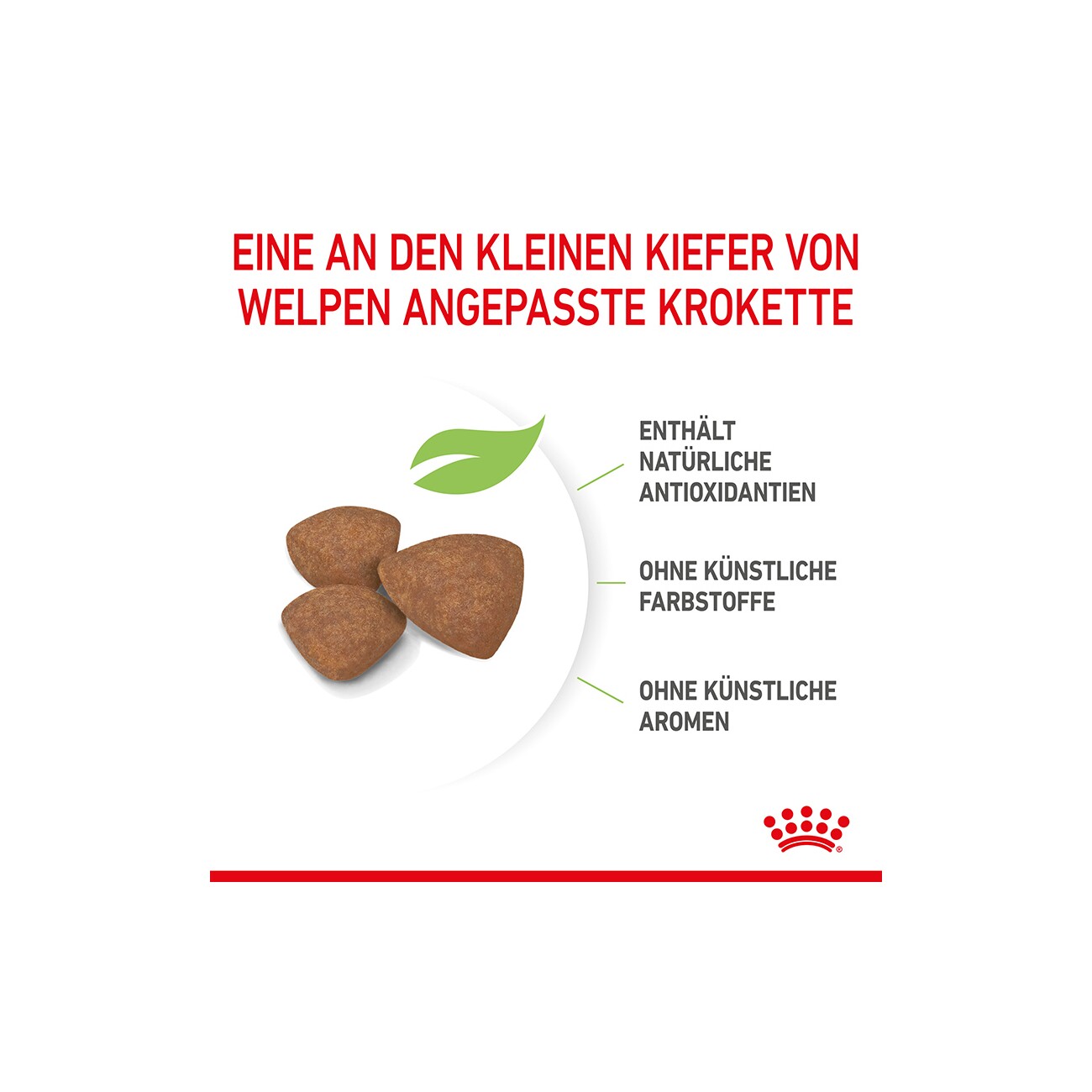 ROYAL CANIN Mini Puppy 2 kg