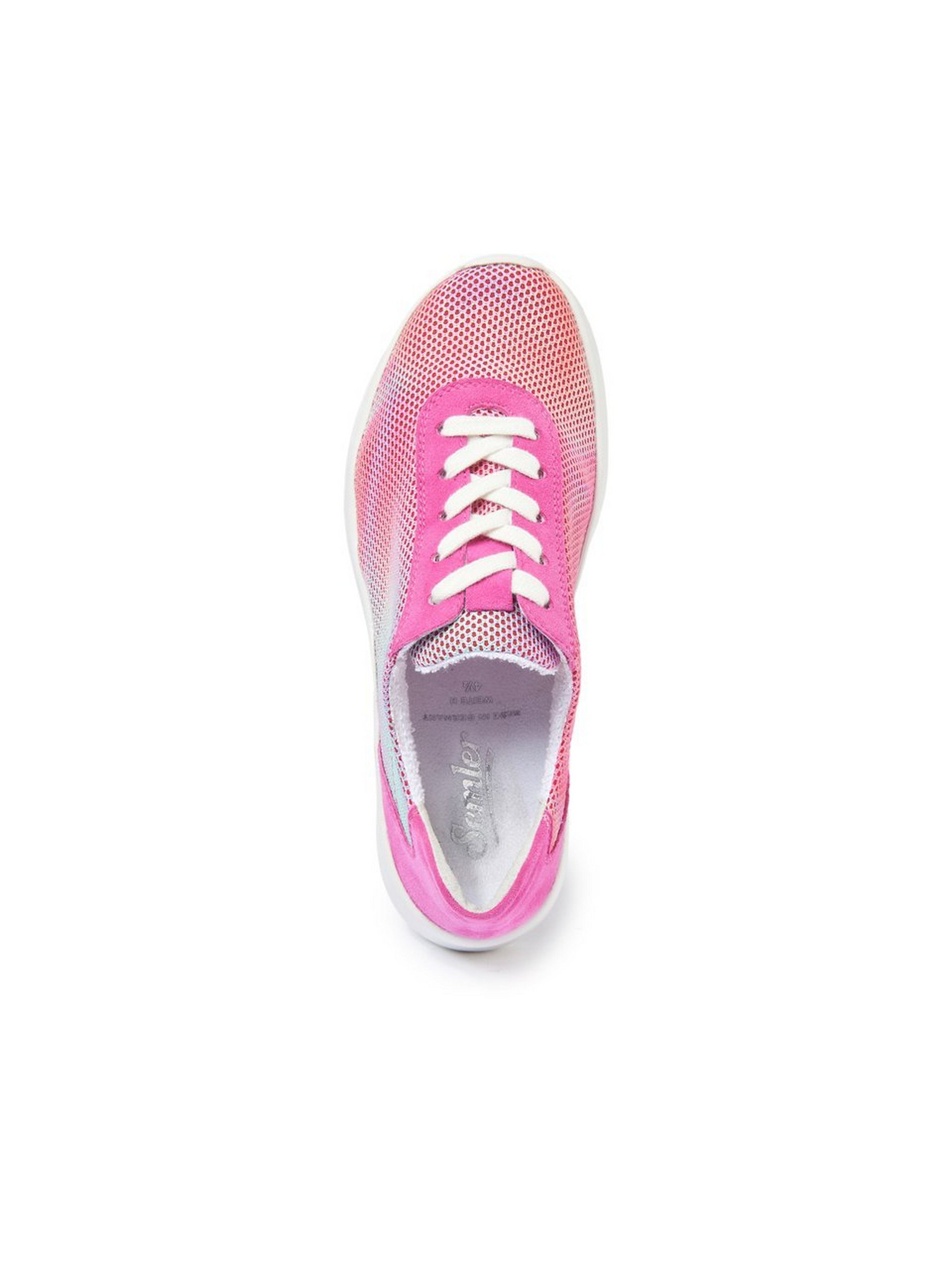 Sneaker Siggi