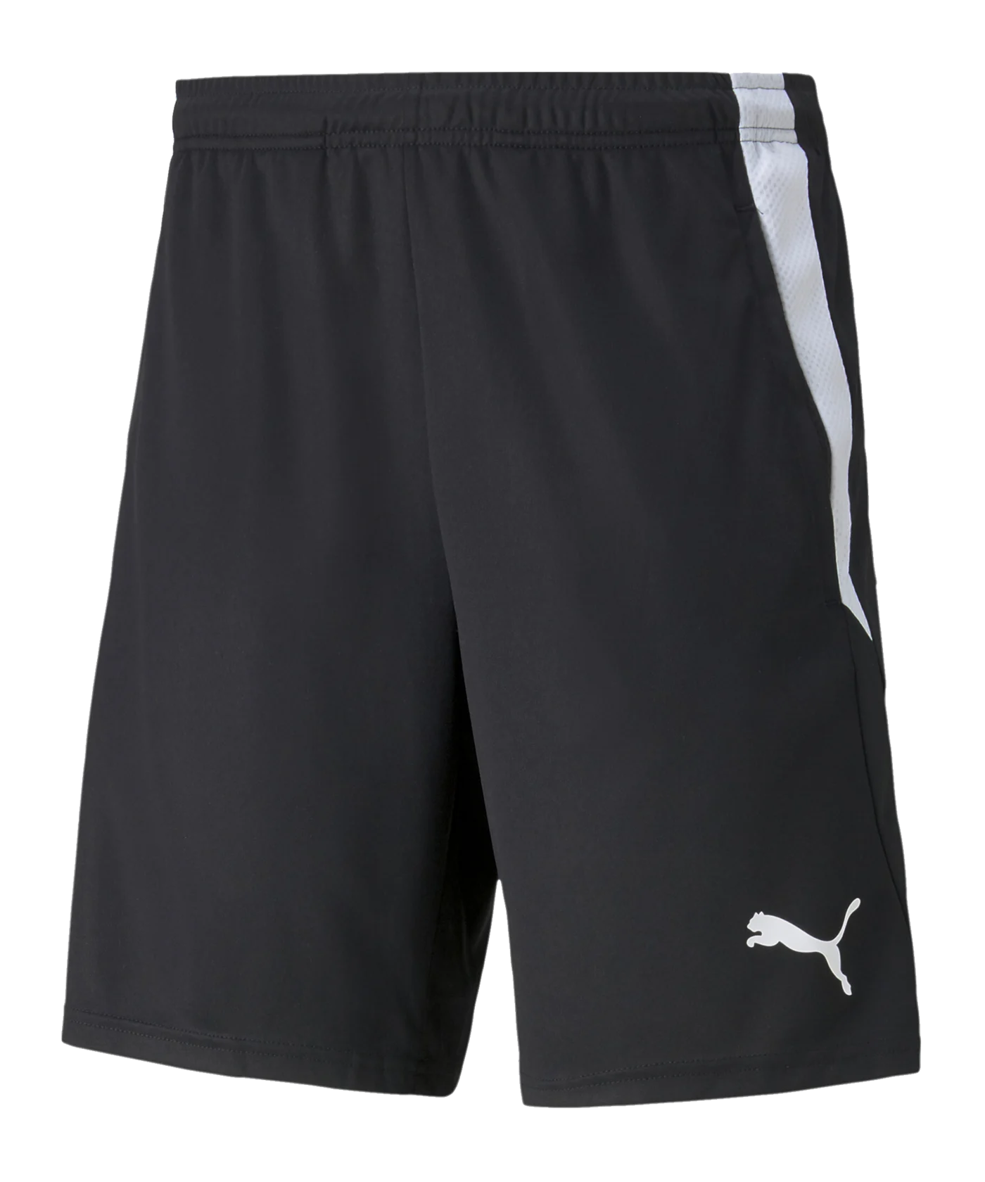 PUMA teamLIGA 2 Short Schwarz F03
