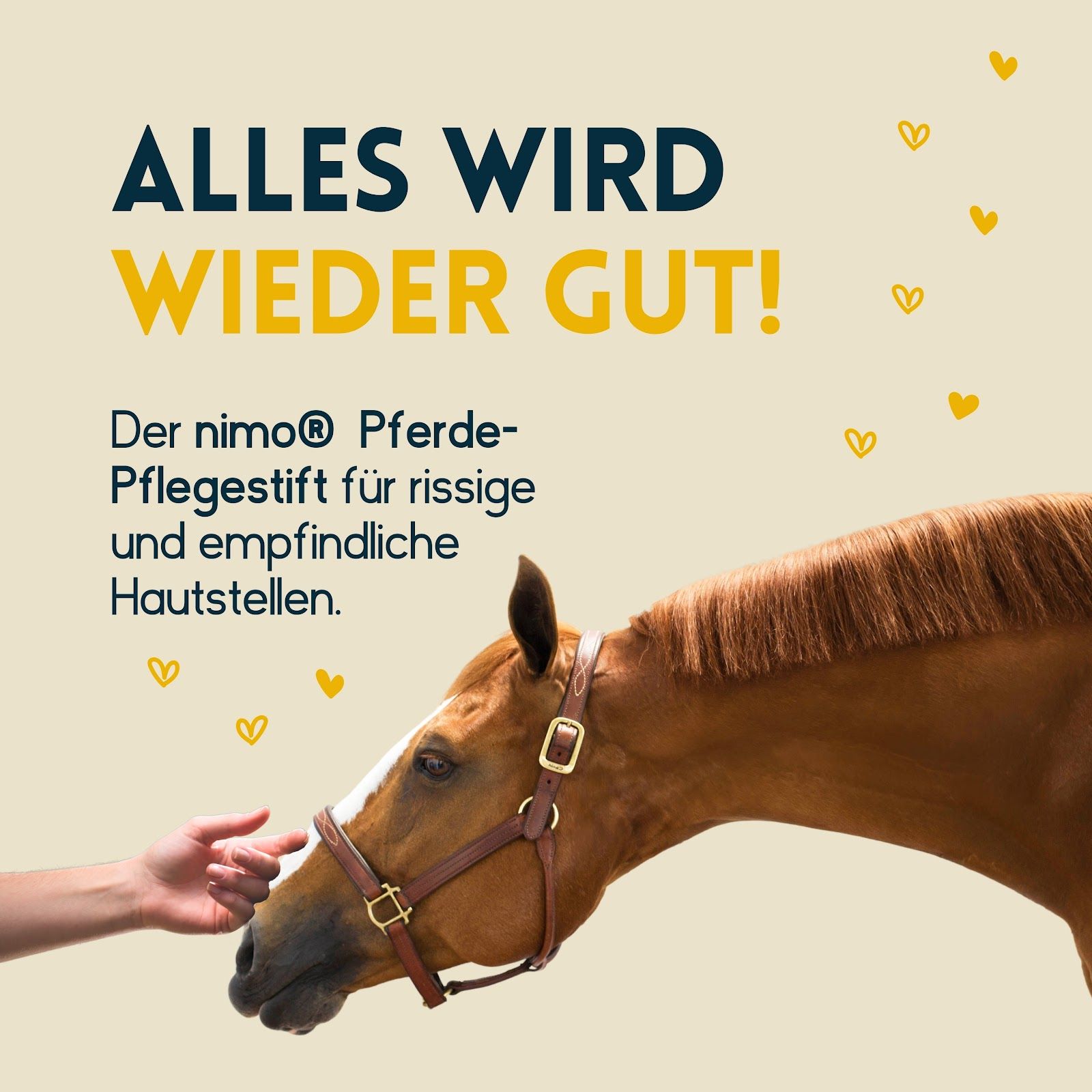 nimo Pferde Pflegestift