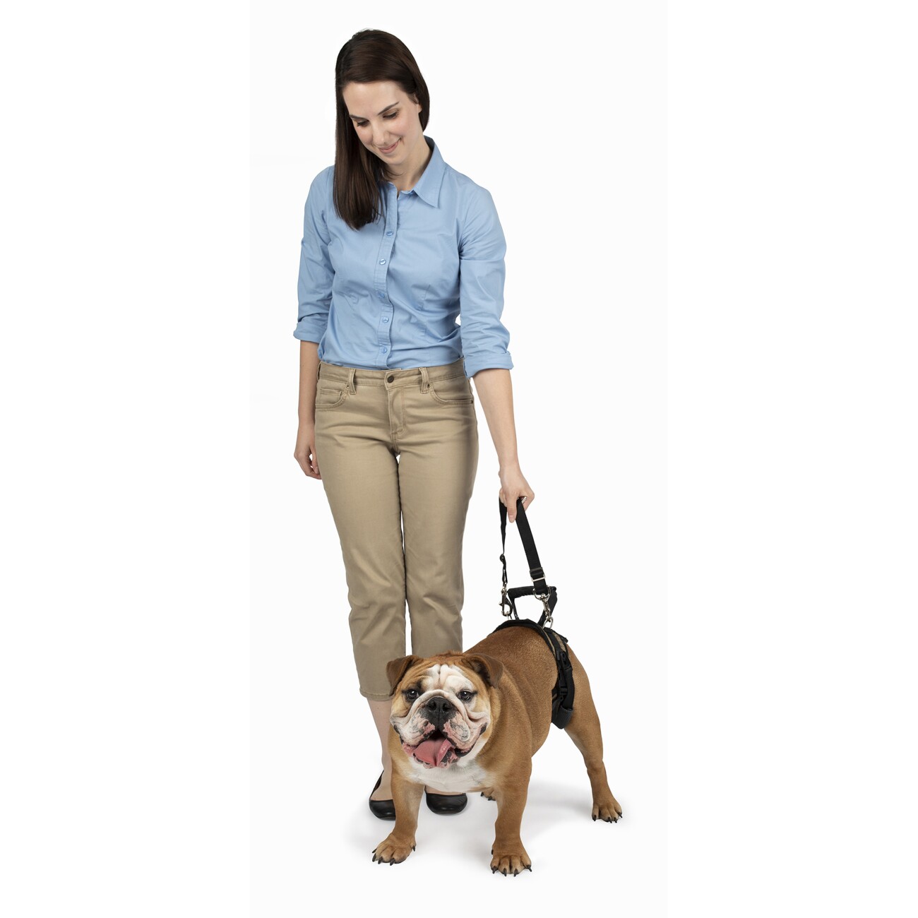 PetSafe CareLift Hüft-Hebegeschirr für Hunde