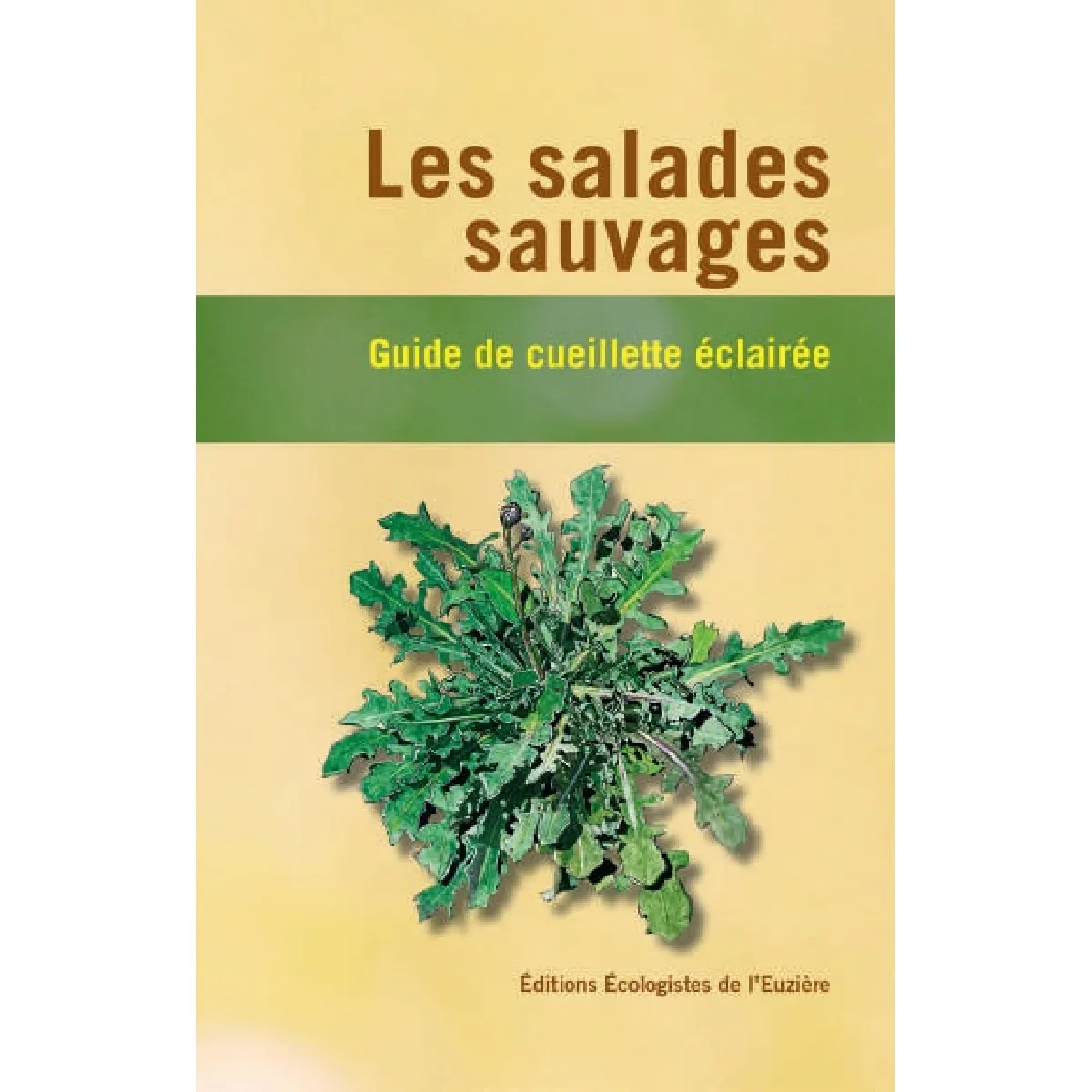 Les salades sauvages : guide de cueillette éclairée