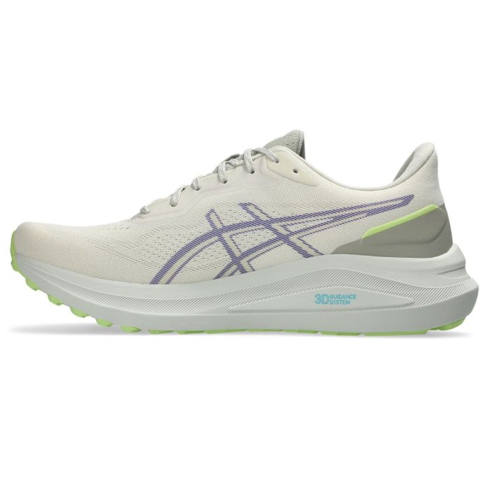 Asics Herre Trailsko GT-1000 13 TR Grå
