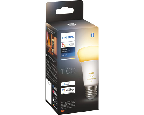 Philips Hue White Ambiance dimbare matte lamp A60 E27/8W (75W) 1100 lm 2200-6500 K - Compatibel met SMART HOME van Hornbach