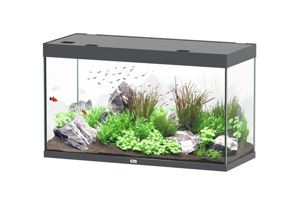 Aquatlantis Sublime 120x50 aquarium | Gloednieuw