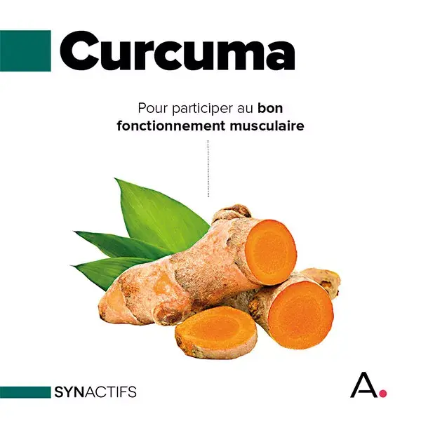 Aragan - Synactifs - Dolactifs® - Antiinflamatório - Cúrcuma - 20 Cápsulas
