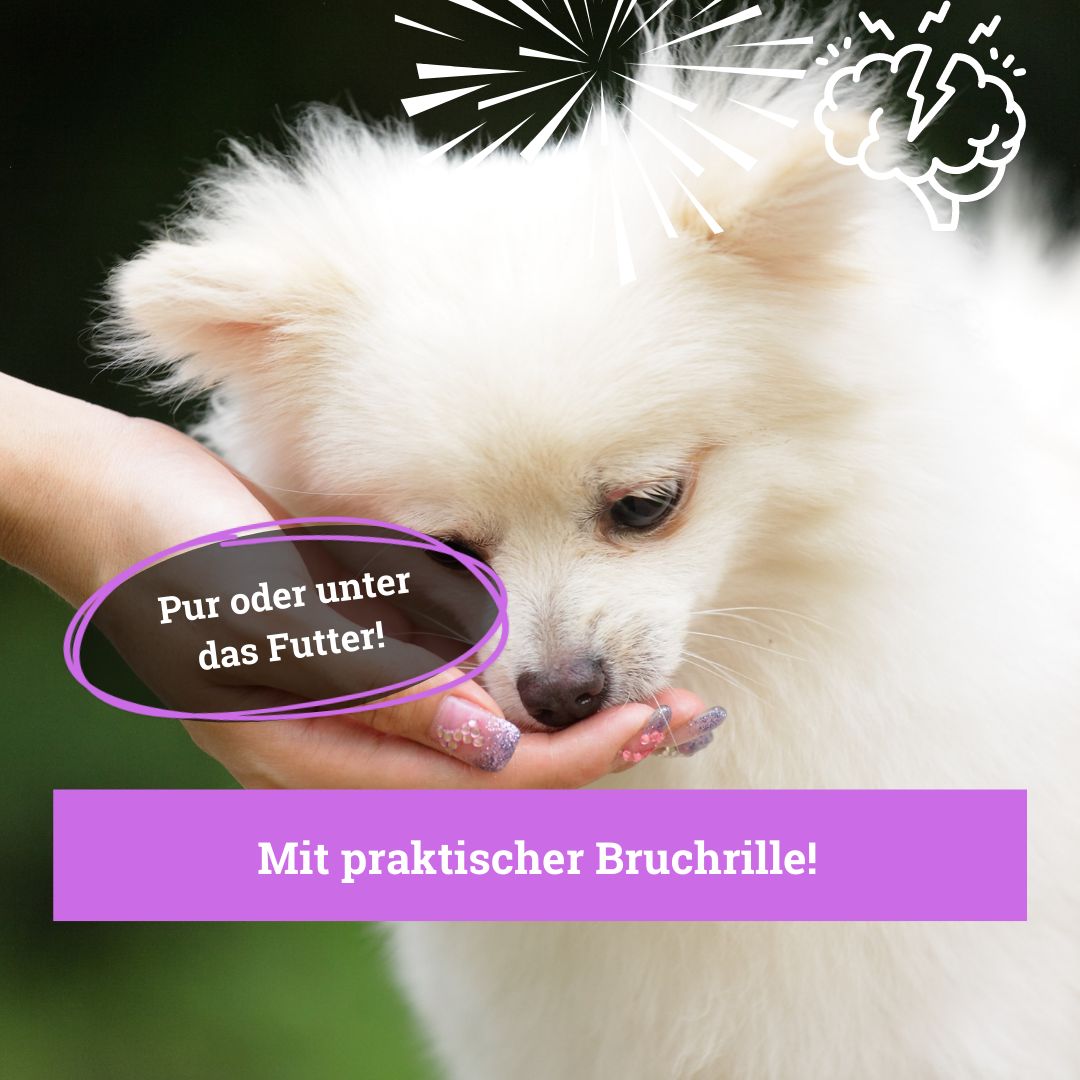 BeG Buddy Sparset Coolness für Hunde, unterstützt Beruhigung