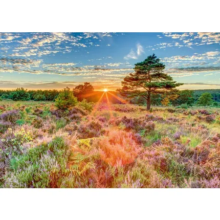 Schmidt Spiele Puzzle - Heide im Sonnenuntergang, 1000 Teile