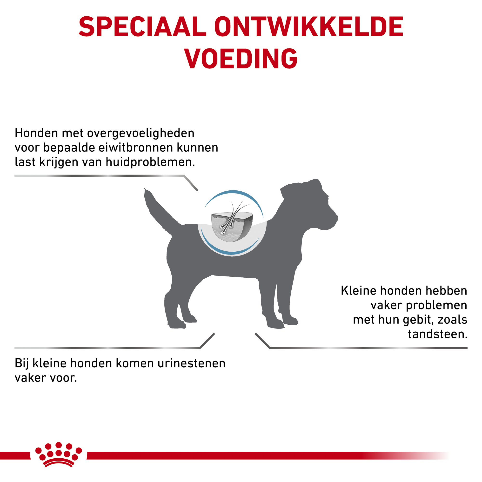 Royal Canin Hypoallergenic Kleine Hond
