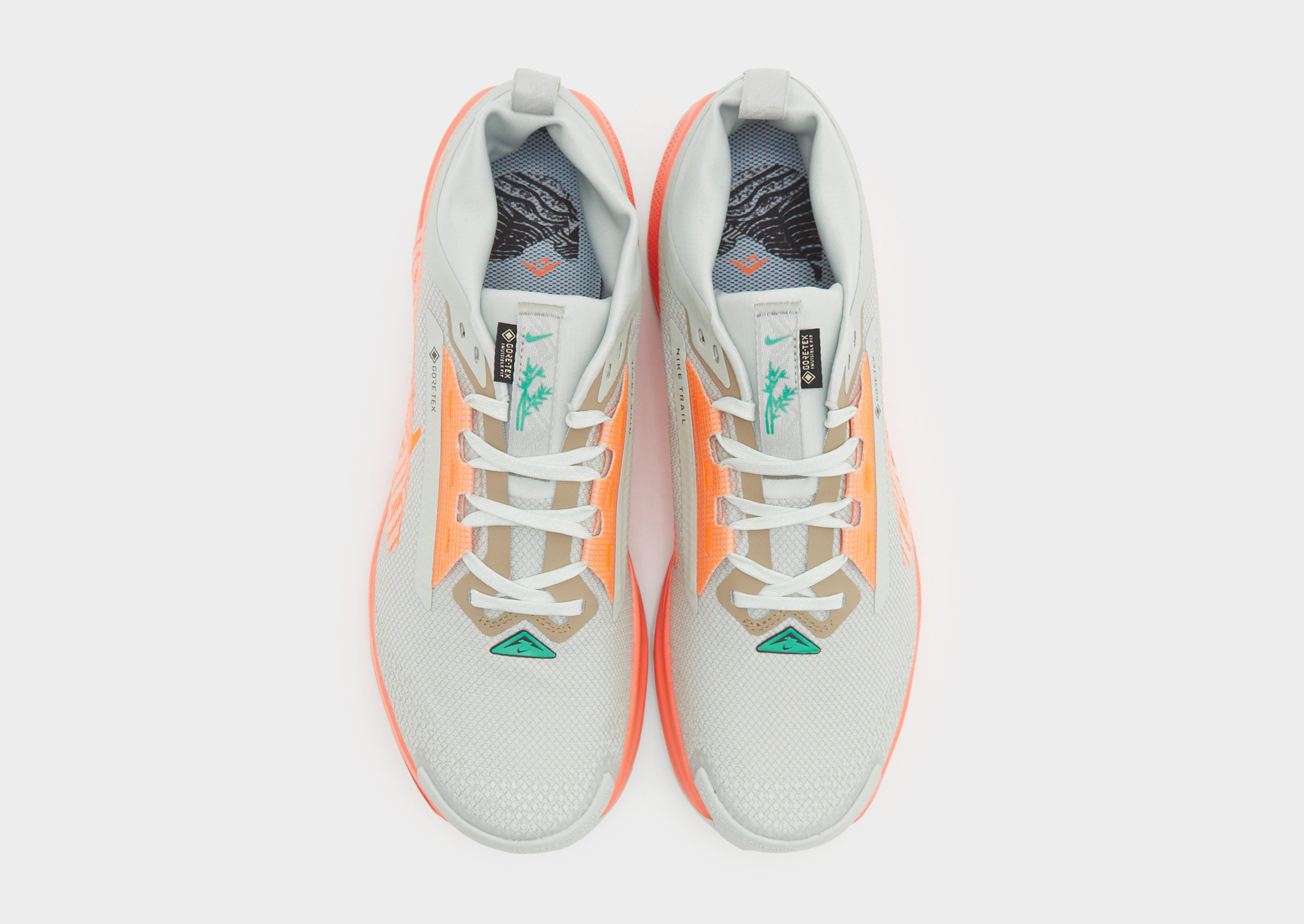 Nike Pegasus Trail 5 GORE-TEX Homme