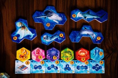Asmodee Aqua Nordic Brettspill