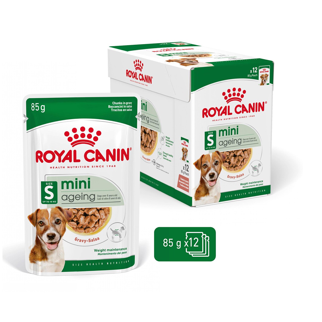 ROYAL CANIN Mini Ageing 12+ in Soße 12x85 g