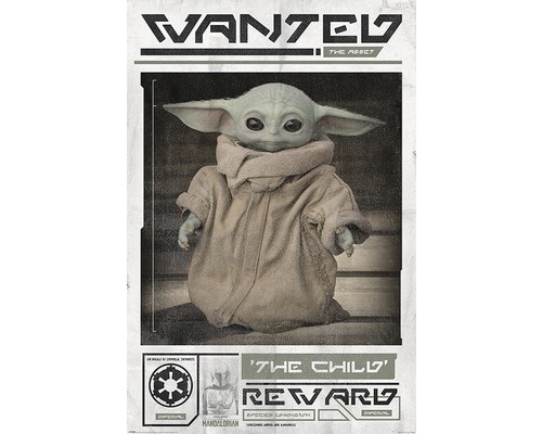Decopaneel Baby Yoda 60x90 cm