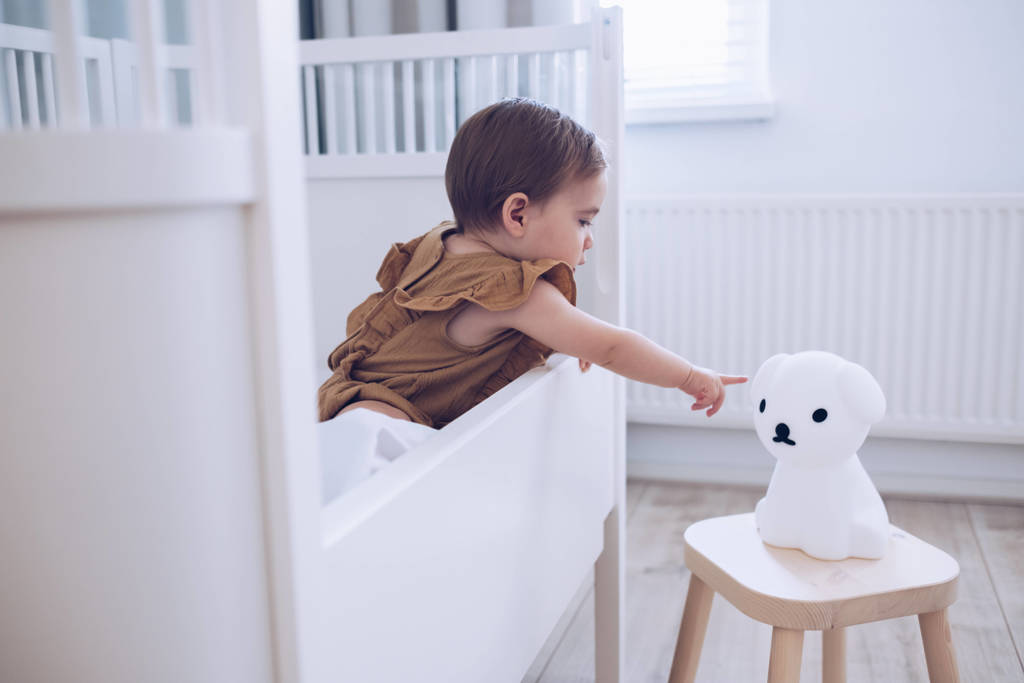 Snuffie First Light lamp