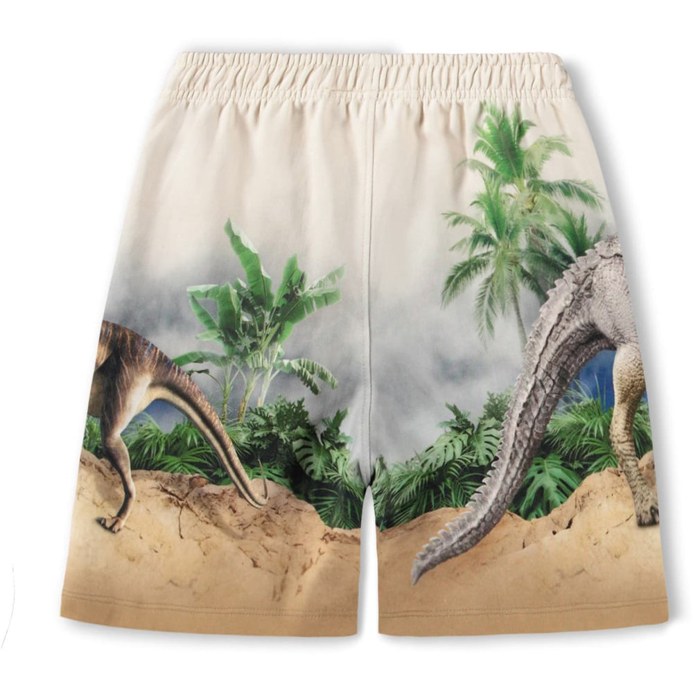 Køb Molo Hot Spring Dinos Amil Shorts