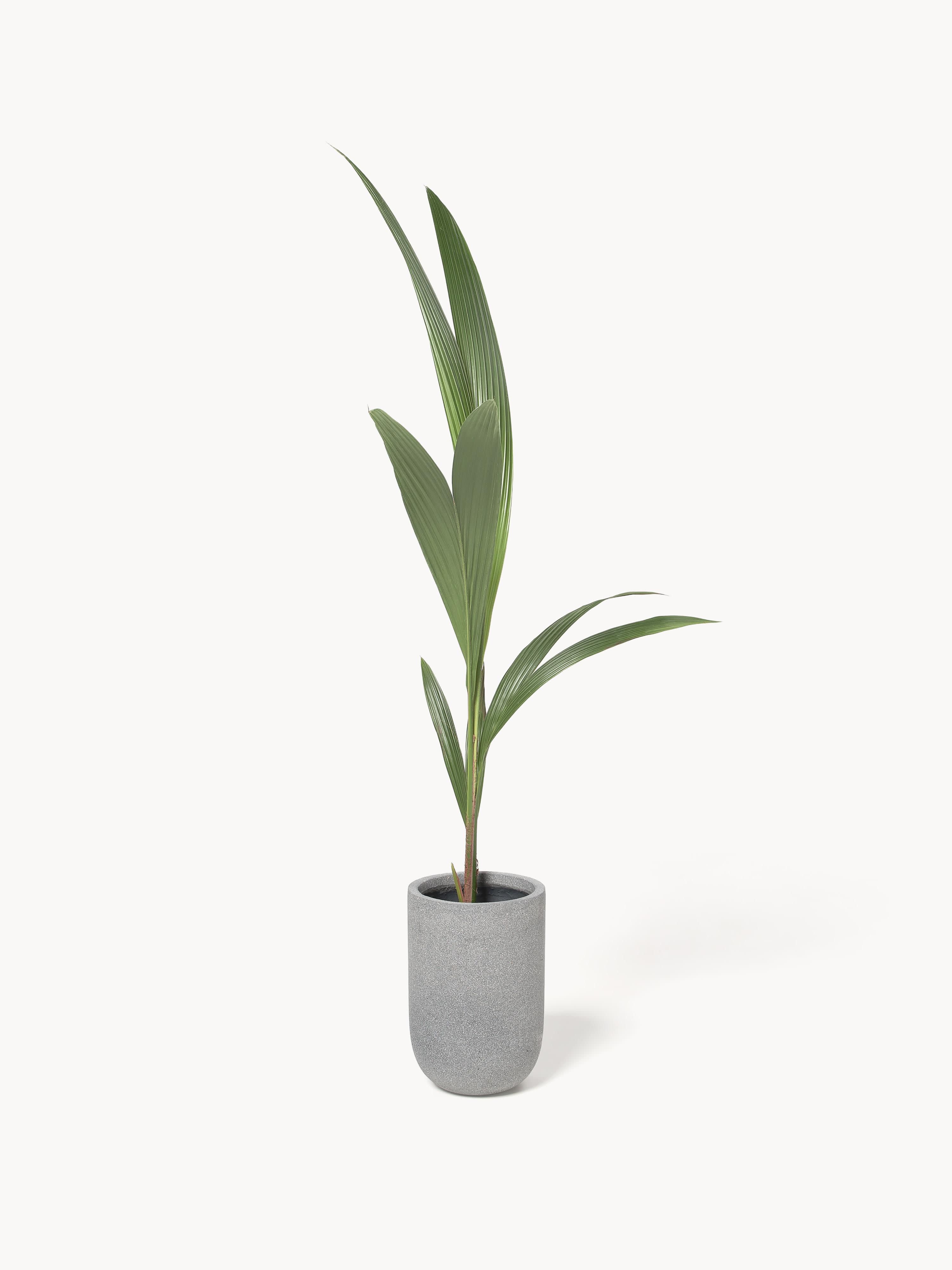 Outdoor plantenpot Tuscany van beton, H 34 cm