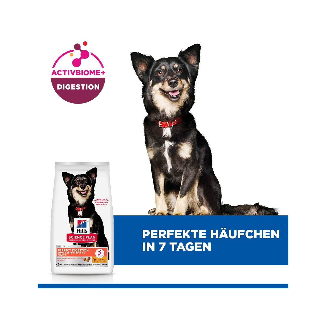 Hill's Science Plan Perfect Digestion Adult Small & Mini mit Huhn 3 kg