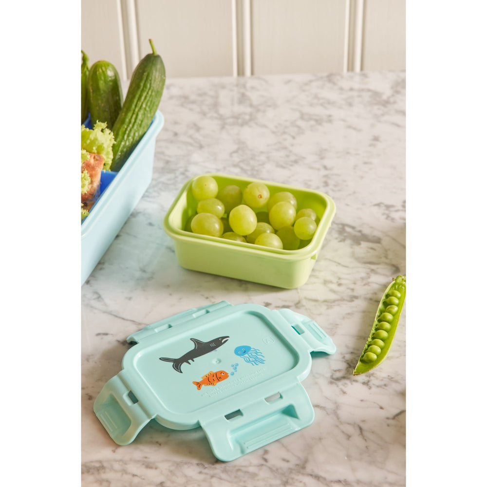 Køb Rice Madkasse Med Airtight Lid Og Wildlife Print - Mint - Small