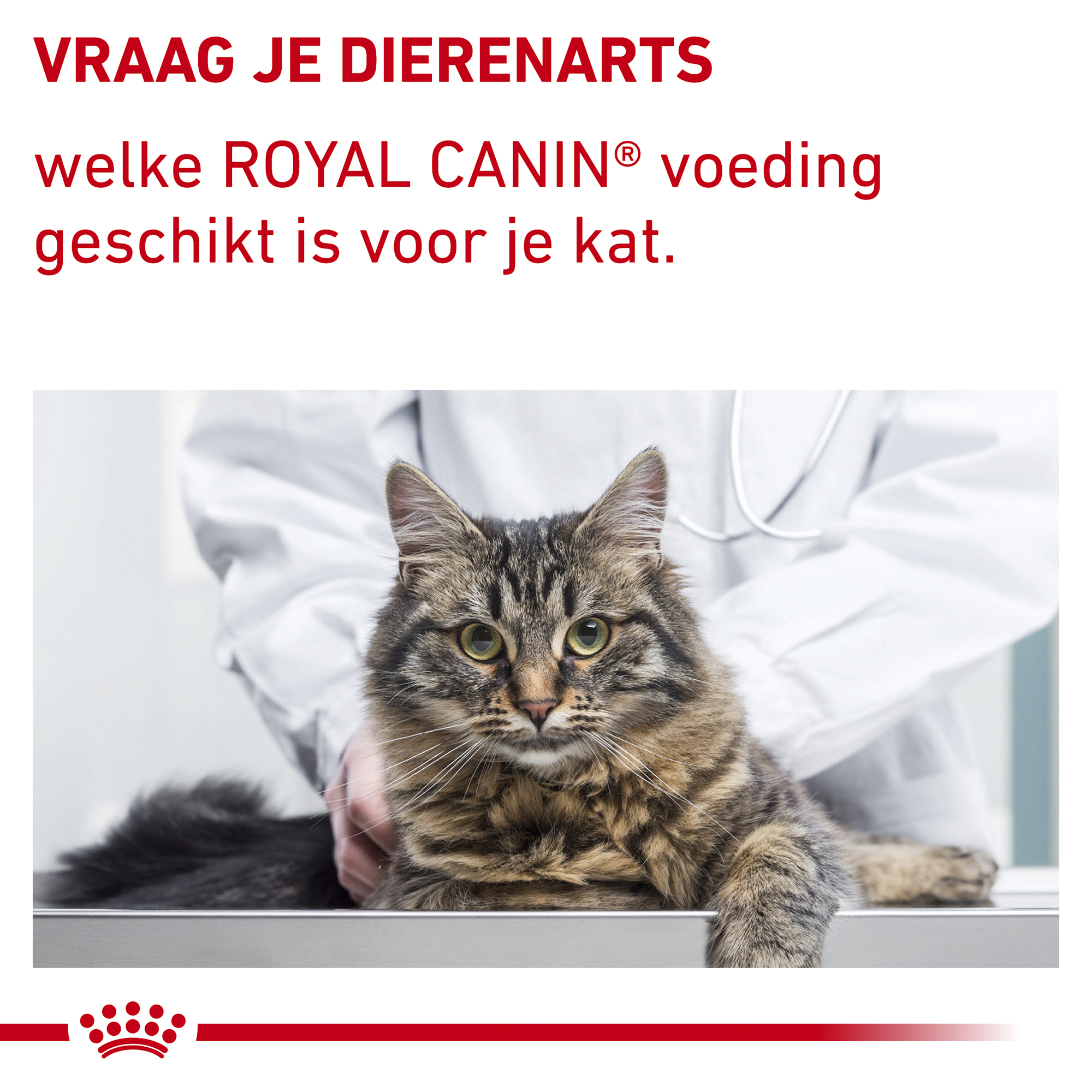 Royal Canin VCN - Neutered Satiety Balance Cat