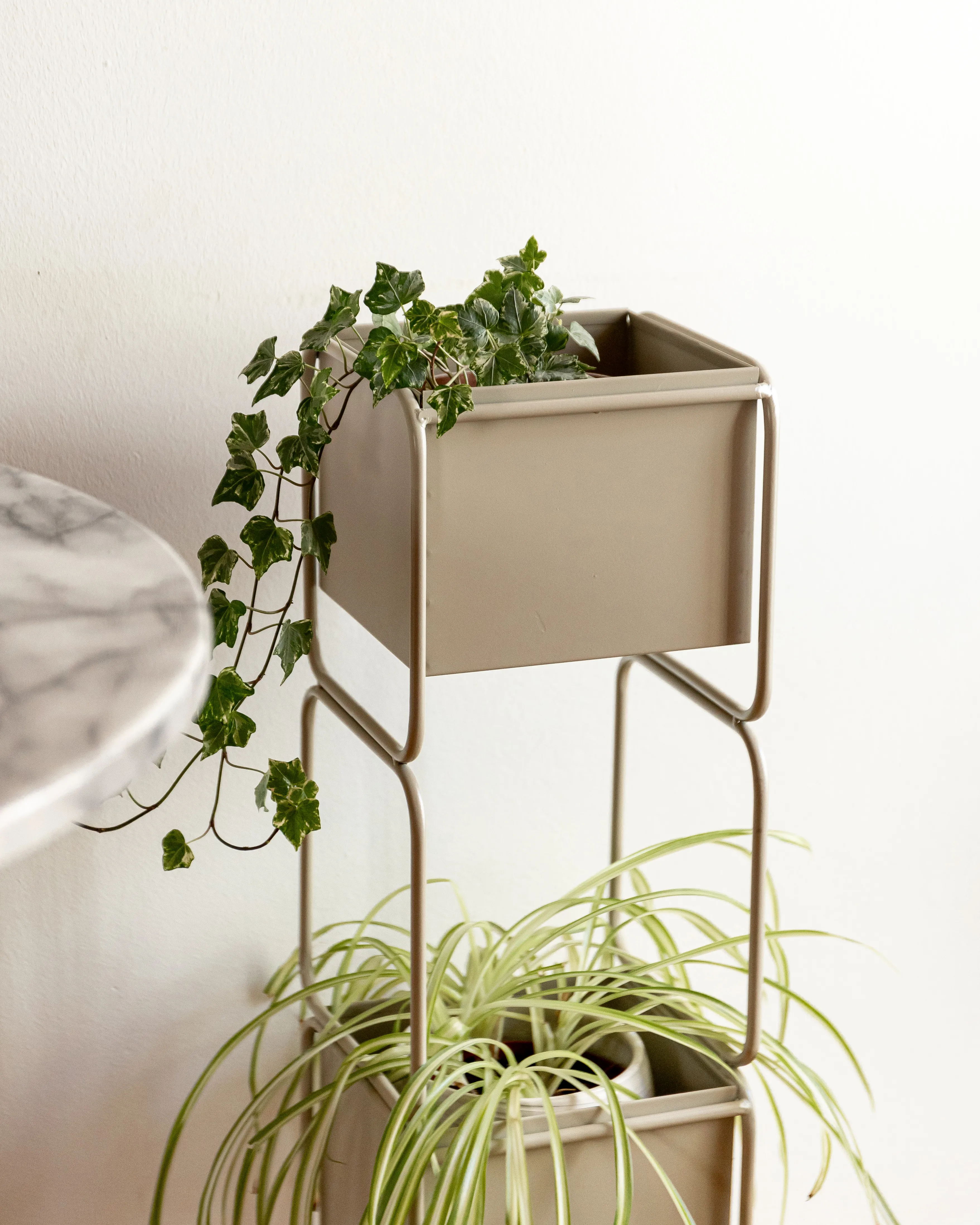 Plantenstandaard COTINUS Metaal 20 cm Beige