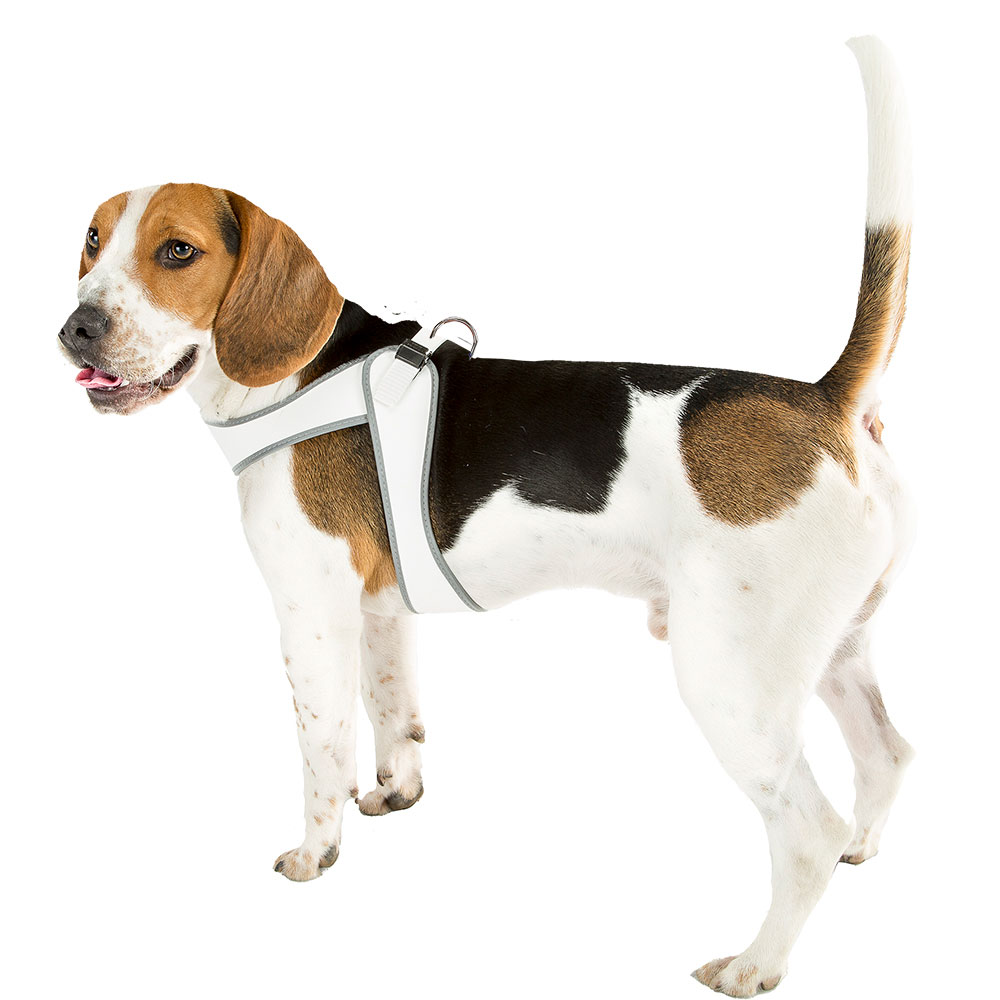 Ferplast harnais ergonomique pour chiens agila 6, fermeture à double micro-régulation, eco-cuir élégant, bords refléchissants, a=b