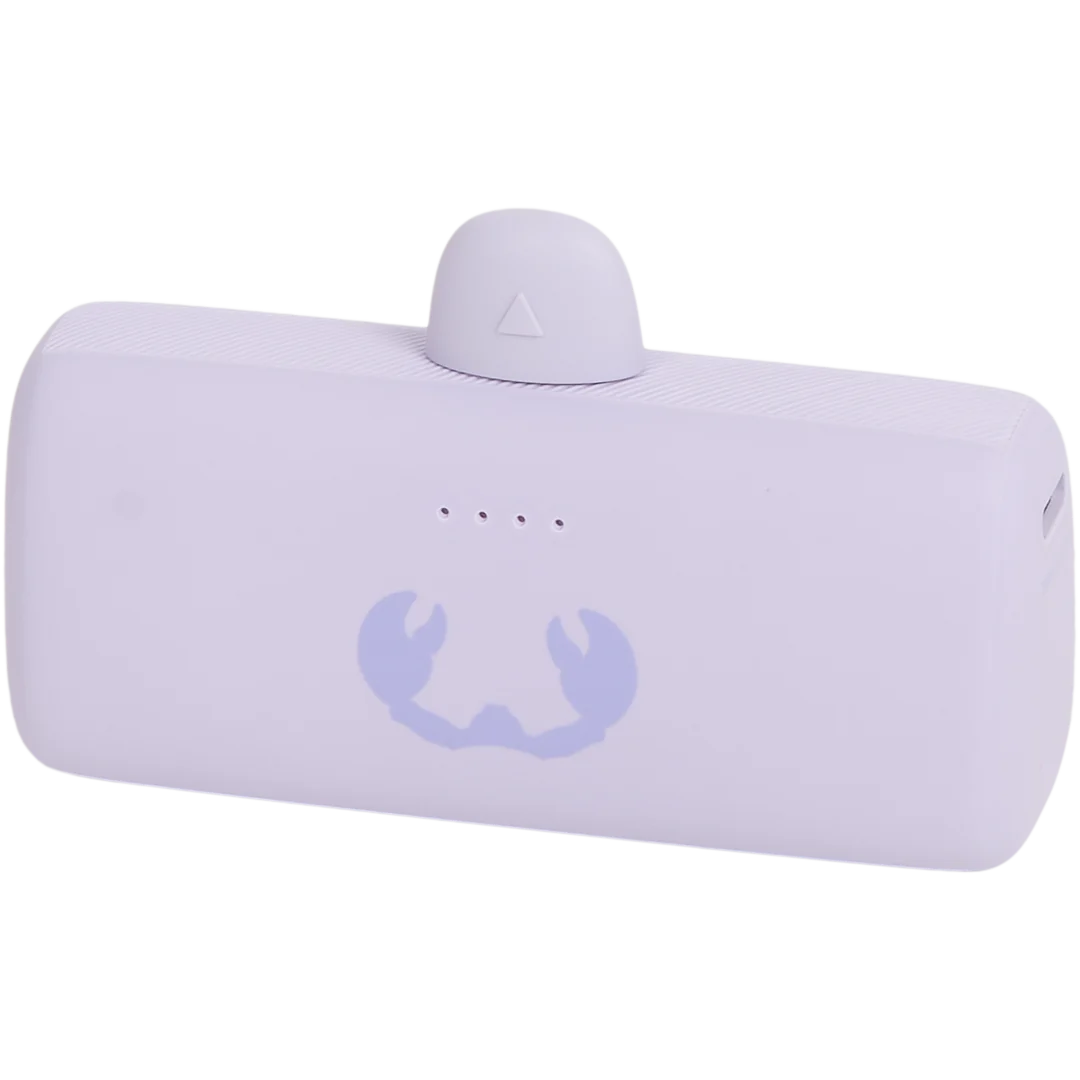 Fresh ’n Rebel plug-in powerbank 5.000 mAh | 20 watt
