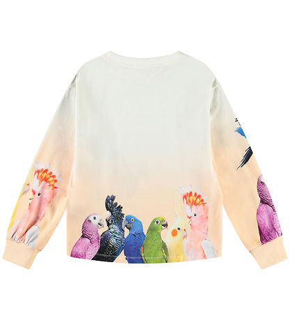 Molo Bluse - Reniza - Gruppe von Parrots