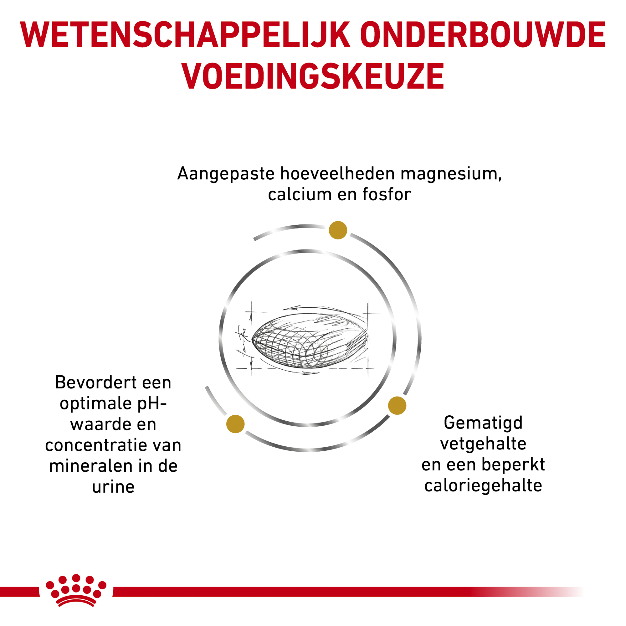 Royal Canin Urinary S/O Moderate Calorie Hond