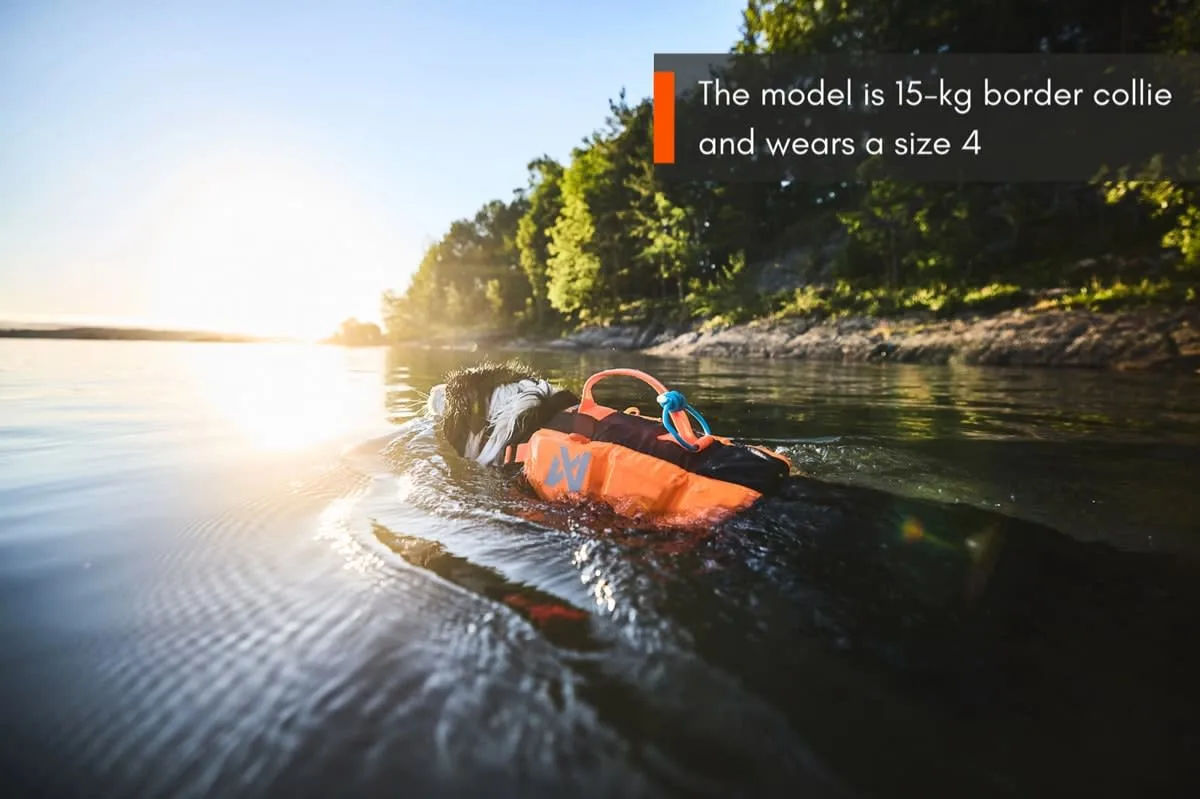 Non-stop Dogwear Protector Life Jacket Size 2-4 Black/Orange