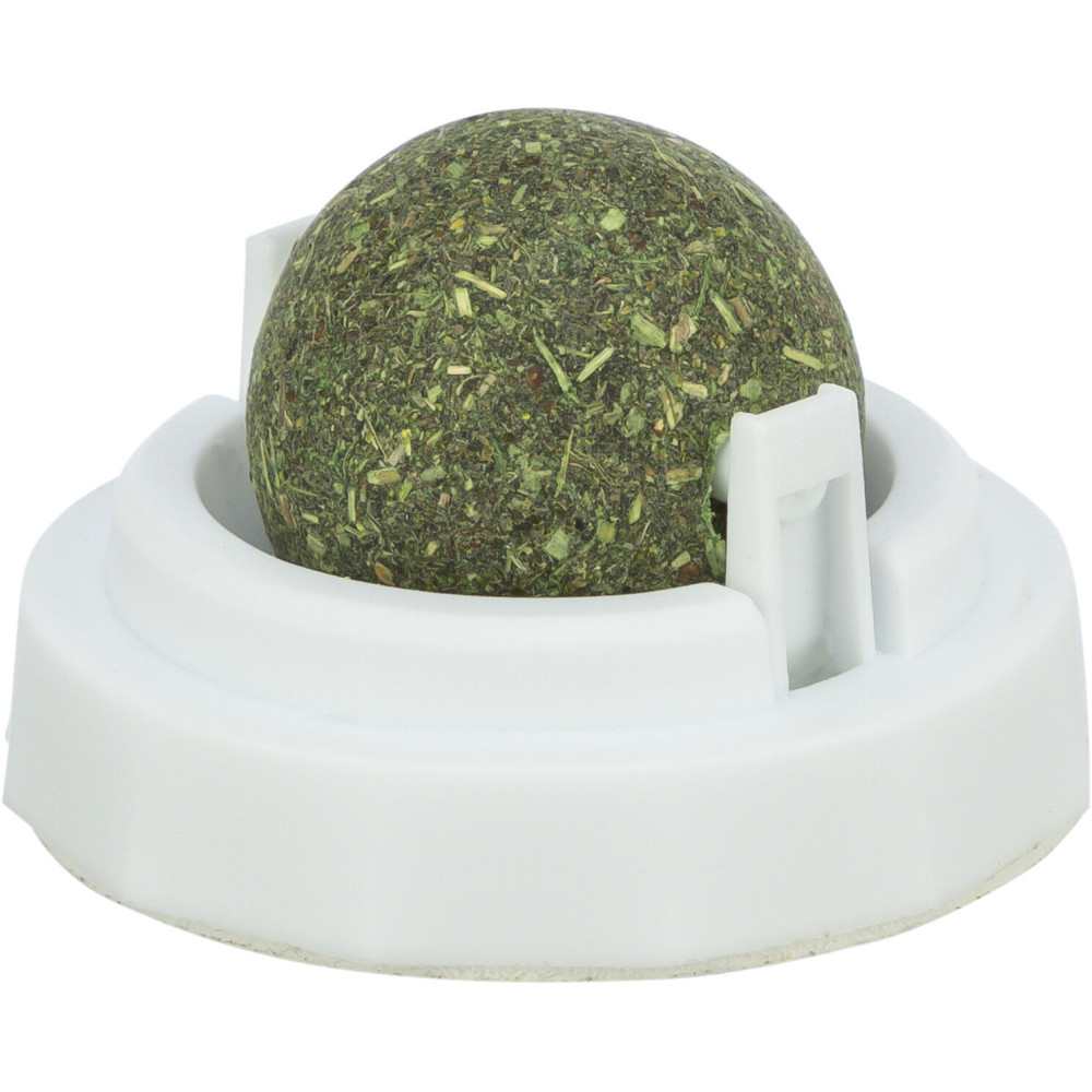 Boule d'herbe à chat avec support
