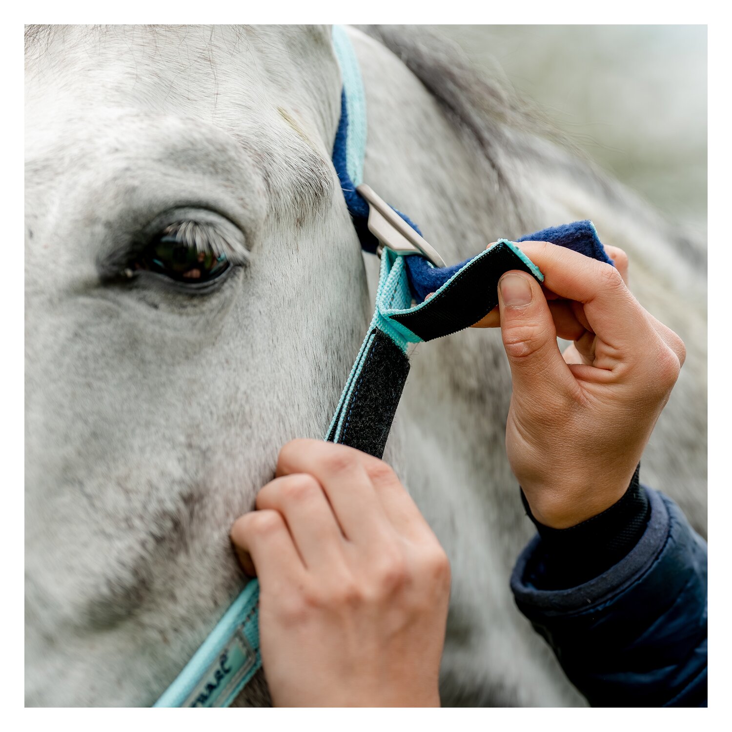 HORSEWARE Halfter Fieldsafe  - blue haze