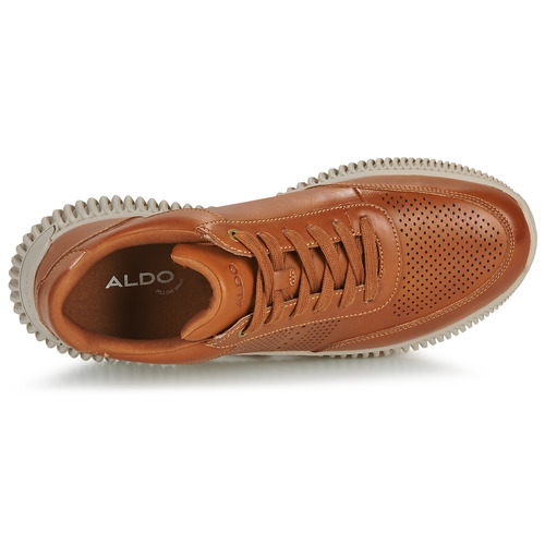 Aldo - RIOGA - Camel
