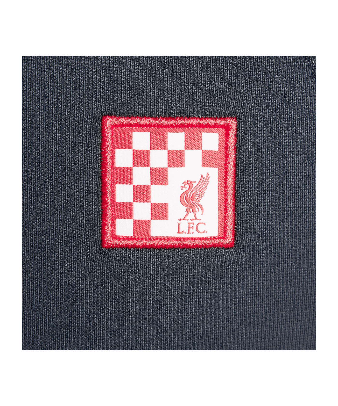 Nike FC Liverpool Air Hoody Kids Grau F070