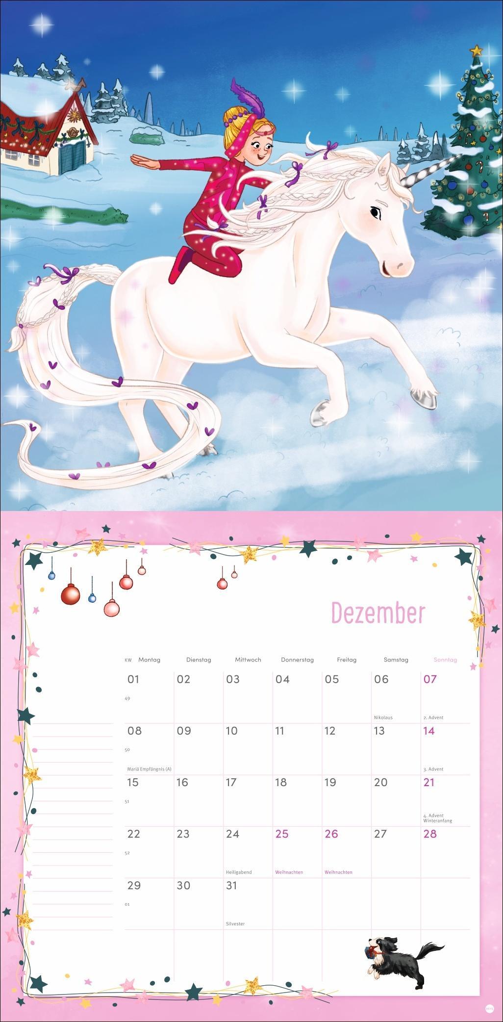 Sternenschweif Broschurkalender 2025