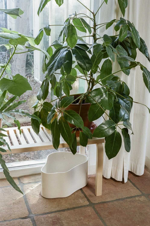 Artek Riihitie A plantenbak large wit
