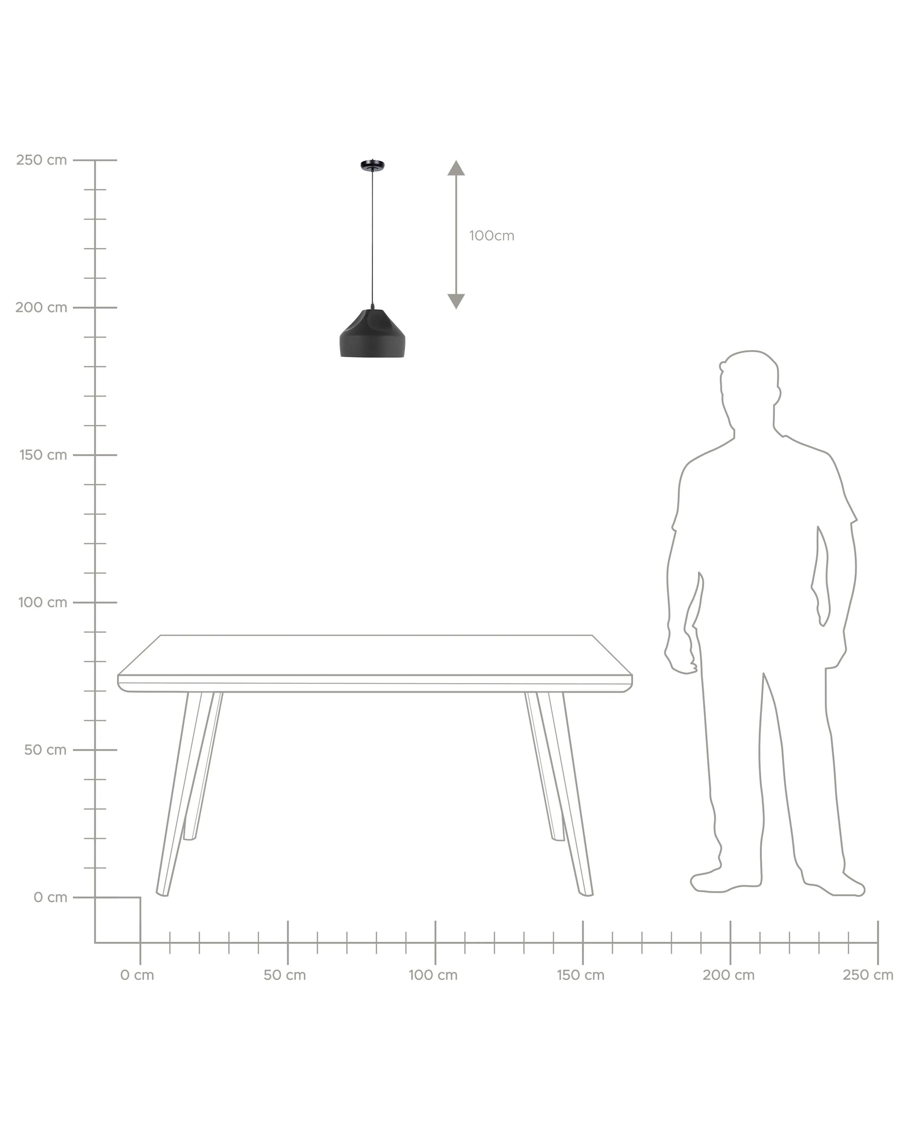 Hanglamp EVINOS Metaal Zwart