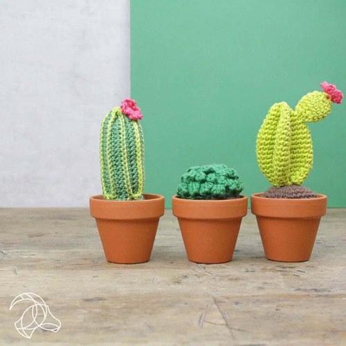 Amigurumi cactus   kit de croche