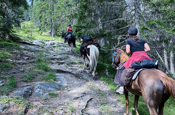 Wanderreiten Aschbach