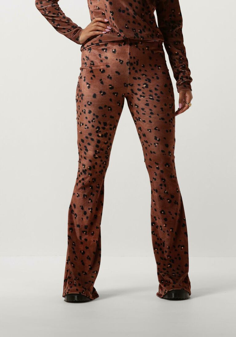 CATWALK JUNKIE bruine catwalk junkie flared broek tr megan