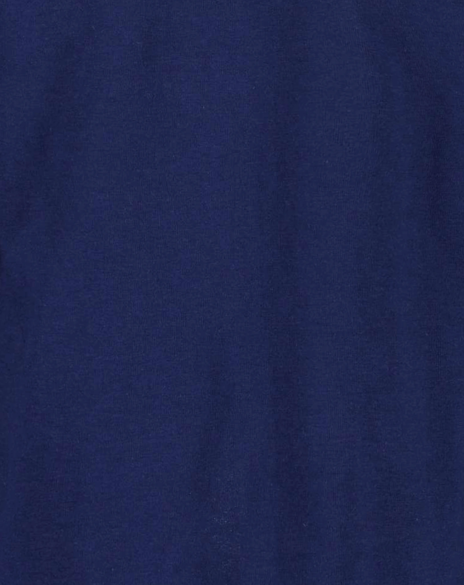 Langarmshirt BERRY TIME in ultramarin