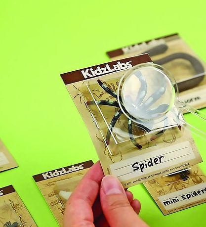 4M Grave-s?t - KidzLabs - Uhyggelig Krybende Grave-S?t